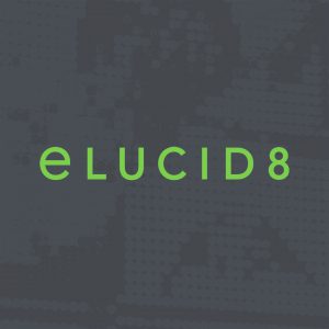eLUCID8 Media: Logotype for media consultancy